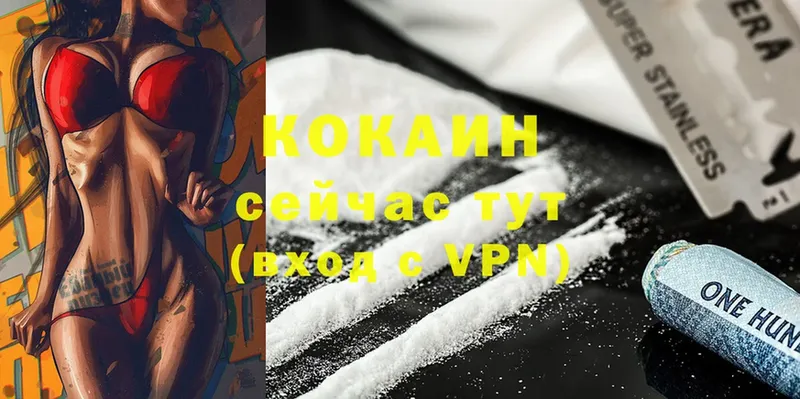 Cocaine 98%  Будённовск 